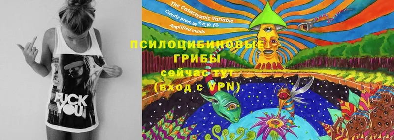 Псилоцибиновые грибы Psilocybine cubensis  МЕГА маркетплейс  Октябрьский  где можно купить наркотик 